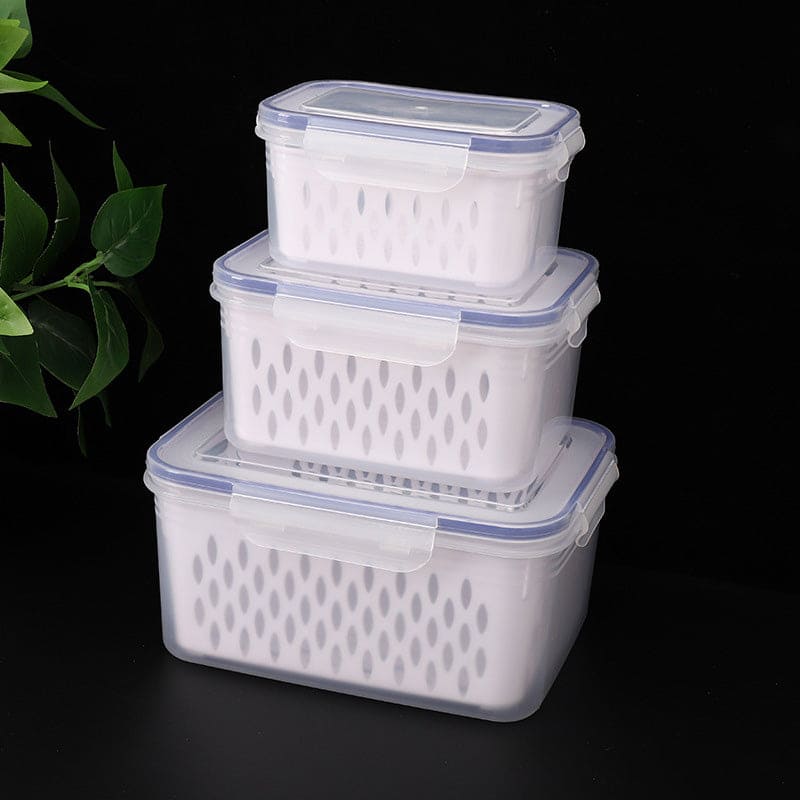 Berrivana™ Berry Keeper